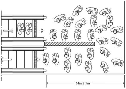 فضای باز در ورودی یا خروجی پلکان برقی